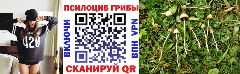 Псилоцибиновые грибы GOLDEN TEACHER  omg сайт  Чистополь 